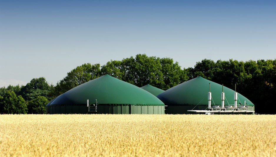 Biogas, produrre energia da deiezioni animali, Close-up Engineering