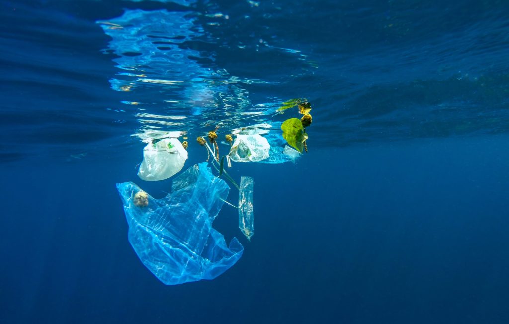 plastic bank, plastic, oceano, vancouver, haiti, filippine, rifiuti, denaro, social plastic, katz, valore, economia, riciclo, società