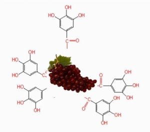 Polifenoli, chimica, Medicina, riciclo, ambiente, frutta, innovazione, nanoparticelle, argento, economy, Energy Close-up Engineering