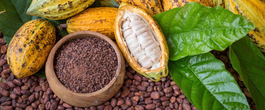 Enzimi, Biotech, Cacao, Alimentare, Ingegneria Biochimica, Farmaceutica, Proteine, Catalisi, Energy Close-up Engineering