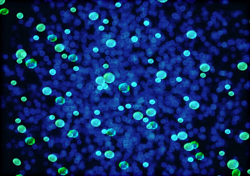 Digestione anaerobica, biogas, biomassa, batteri, idrolisi, acidogenesi, acetogenesi, metanogenesi, rinnovabili, substrati, temperatura, Energy Close-up Engineering