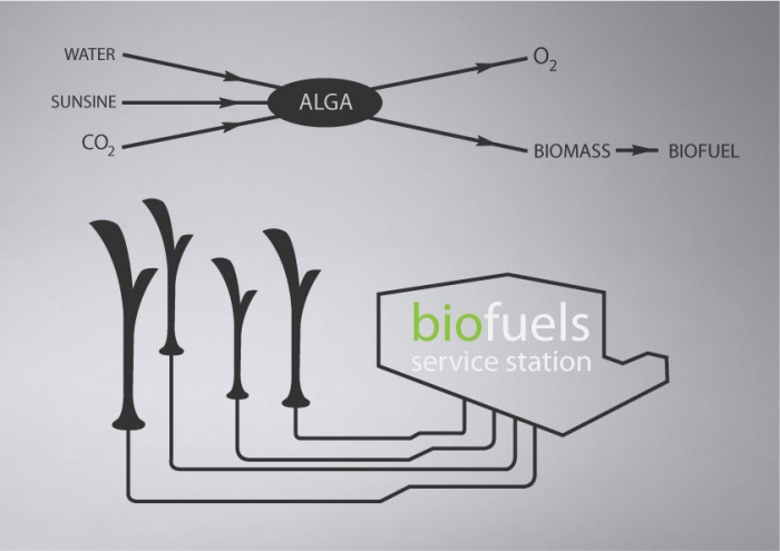 biolamp, lampione, cattura, co2, smog, urbano, inquinamento, alghe, biomassa, salute, rinnovabili, tecnologia, illuminazione, energia, rifornimento, EnergyCuE