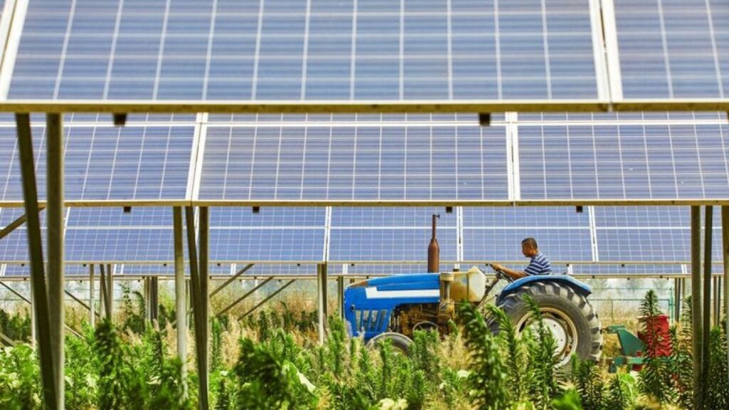 agrivoltaico, fotovoltaico, sole, agricoltura, energia, produzione, suolo, sostenibilità, sfruttamento, tecnologia, efficienza, sviluppo, consumo, elettricità, applicazioni, colture, allevamenti, Energy Close-up Engineering