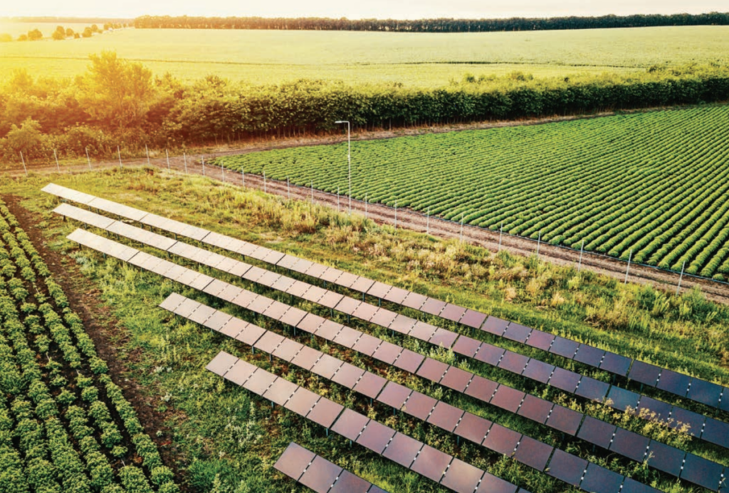 fotovoltaico, sole, agricoltura, energia, produzione, suolo, sostenibilità, sfruttamento, tecnologia, efficienza, sviluppo, consumo, elettricità, applicazioni, colture, allevamenti, Energy Close-up Engineering