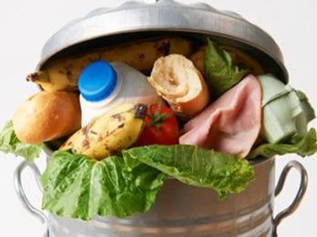 Food waste, Food loss, prevenzione, spreco, cibo, pirolisi, gassificazione, biocombustibile, acqua, ambiente, PCI, biodiesel, obiettivi, Europa, UNEP, Energy Close-up Engineering.