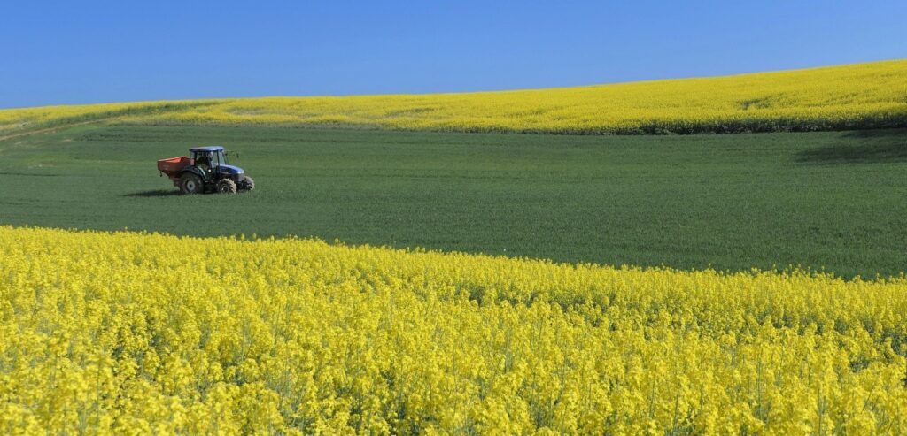 Agricoltura, biologico, CO2, Italia, Energy Close Up Engineering