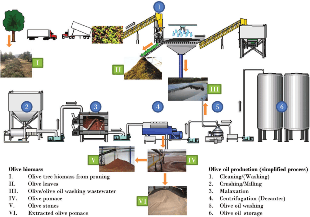 Valorizzazione, biogas, olio, industria, scarti, digestione anaerobica, sansa, cogenerazione, energia, microorganismi, ingegneria chimica, green-chemistry, biomasse, Energy Close-up Engineering.