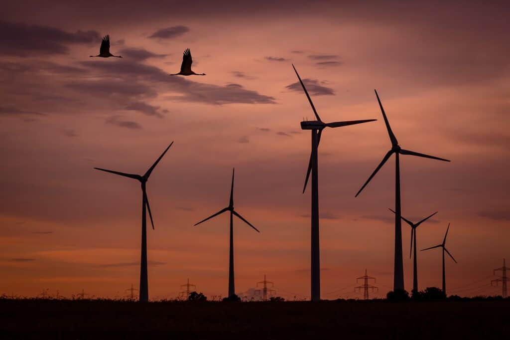 eolico, turbine, energia, rinnovabili, vento, sito, scelta, installazione, realizzazione, vincoli, parametri, normative, impatto, fauna, habitat, biodiversità, interferenze, impianto, Energy Close-up Engineering