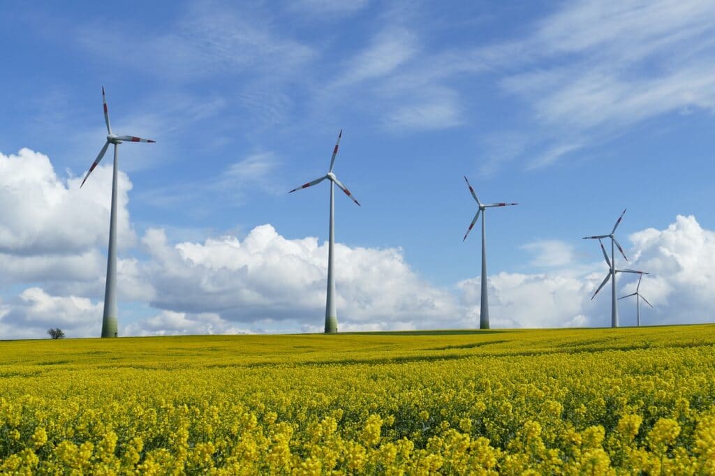 eolico, turbine, energia, rinnovabili, vento, sito, scelta, installazione, realizzazione, vincoli, parametri, normative, impatto, fauna, habitat, biodiversità, interferenze, impianto, Energy Close-up Engineering