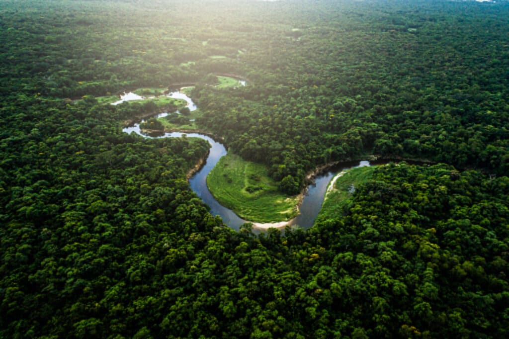 Deforestazione, Amazzonia, Brasile, record, alberi, clima, ambiente, danni, conseguenze, politica, disboscamento, foresta, aumento, rischio, crescita, sfruttamento, Energy Close-up Engineering