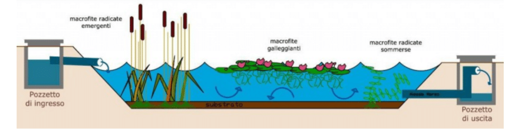 Fitodepurazione, trattamento acque, piante, ghiaia, reflui, Energy Close-Up Engineering