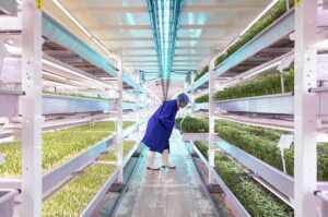 rinnovabili, clima change, sostenibilità, ambiente, Vertical Farming