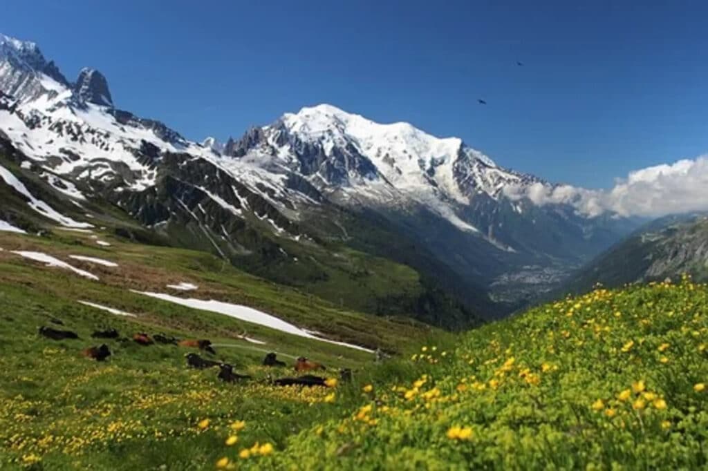 clima, ghiacciaio Miage, Monte Bianco, cambiamento climatico, riscaldamento globale, Carovana dei ghiacciai, Legambiente, monitoraggio, temperature, allarme, acqua, scioglimento, emergenza, ricerca, dati, Energy Close-up Engineering