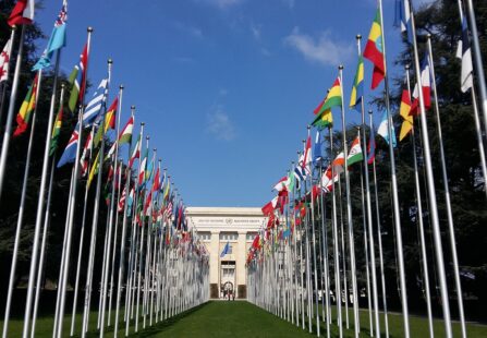 I temi del COP27: serve un accordo tra nord e sud del mondo