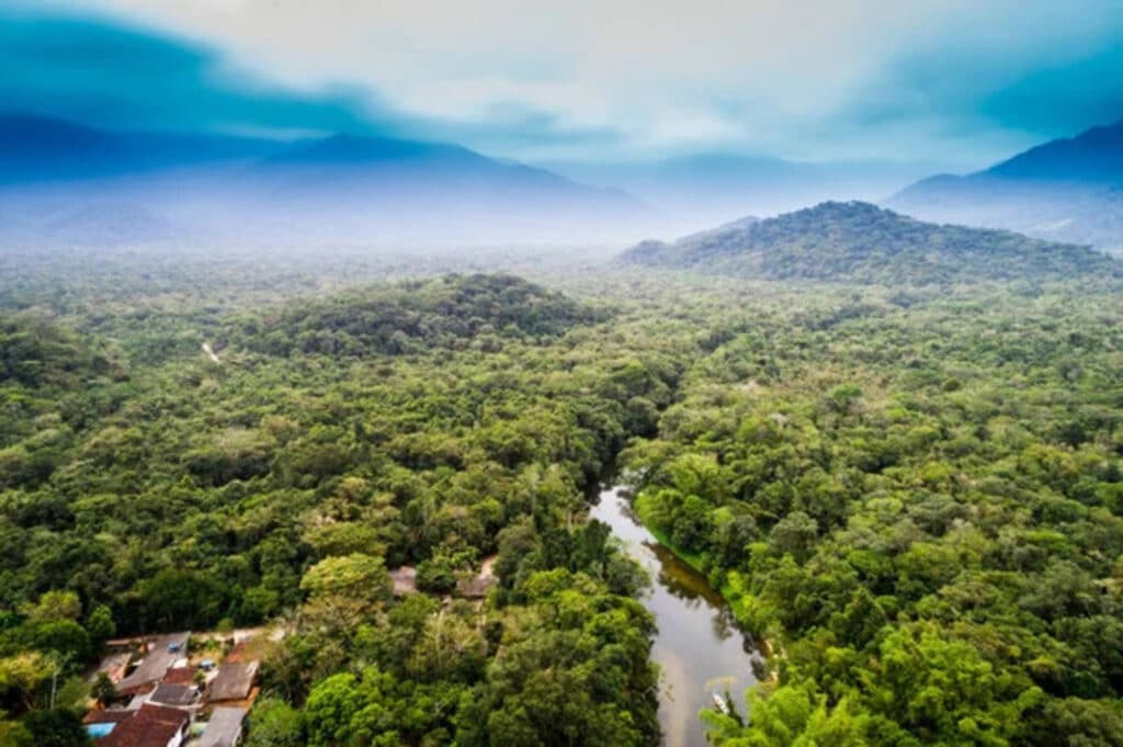 foresta amazzonica, foresta pluviale, amazzonia, studio, foresta, deforestazione, degrado, ambiente, emissioni, biodiversità, ecosistemi, alberi, ricerca, previsioni, distruzione, pianeta, polmone verde, Energy Close-up Engineering