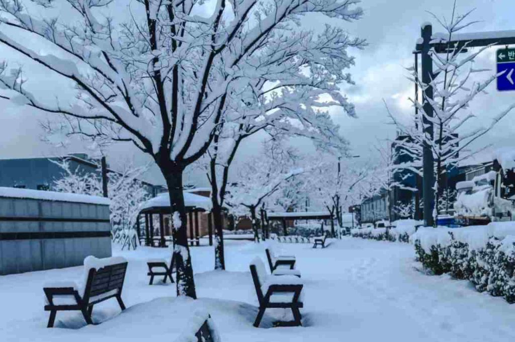 Neve a Seoul, Corea del Sud